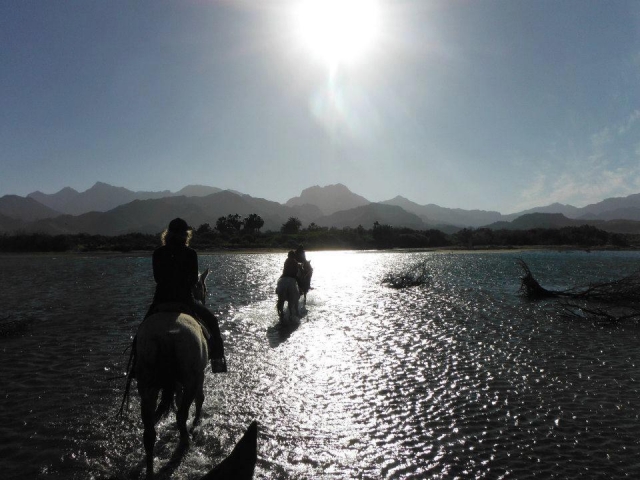  Una passeggiata mattutina 